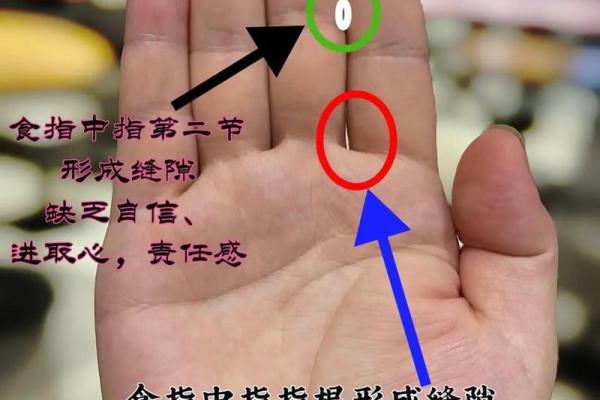 男人花掌纹的命运解析:揭秘掌纹背后的秘密 男人花掌纹的命运解析:揭秘掌纹背后的秘密