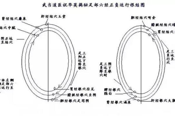 探索历代皇帝八字命格的奥秘与影响 探索历代皇帝八字命格的奥秘与影响