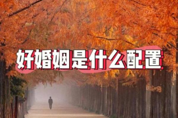 命有双妻命:解读命理与婚姻的微妙关系 命有双妻命:解读命理与婚姻的微妙关系