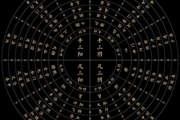 命理学的奥秘:探寻个人命运与宇宙之间的关系 命理学的奥秘:探寻个人命运与宇宙之间的关系