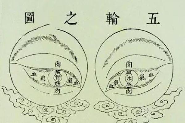 马云的生肖命星解析:从东方智慧看成功的秘密 马云的生肖命星解析:从东方智慧看成功的秘密