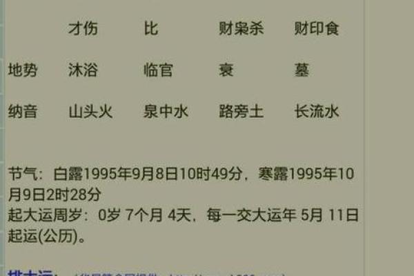 研究八字命理,选择书籍的智慧之旅 研究八字命理,选择书籍的智慧之旅