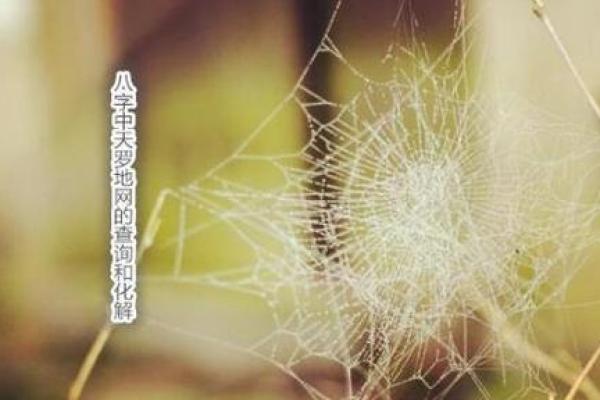 女命自刑的注意事项:如何化解不利影响与提升运势 女命自刑的注意事项:如何化解不利影响与提升运势