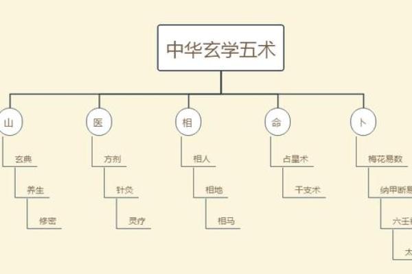 命卦五行奥秘:解读命理与自然元素的深刻联系 命卦五行奥秘:解读命理与自然元素的深刻联系