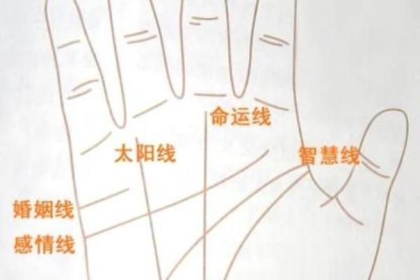 罗定1973年属什么命:探寻人与命运的关系 罗定1973年属什么命:探寻人与命运的关系