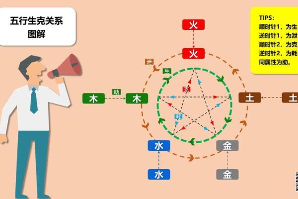 农历零六年生人:解析木命的命理与人生智慧 农历零六年生人:解析木命的命理与人生智慧
