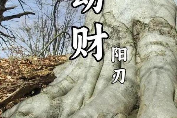 男命有一个劫财,这意味着什么?深度解读劫财的影响与启示! 男命有一个劫财,这意味着什么?深度解读劫财的影响与启示!