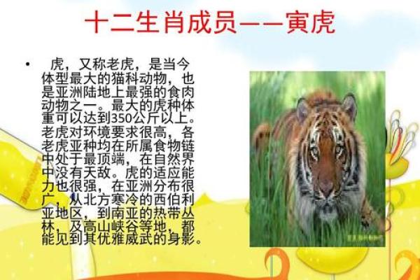 命不由天,这些生肖动物的传奇故事与启示 命不由天,这些生肖动物的传奇故事与启示