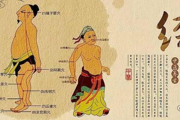 破解男人长命五命的秘密:如何延年益寿,活出精彩人生! 破解男人长命五命的秘密:如何延年益寿,活出精彩人生!