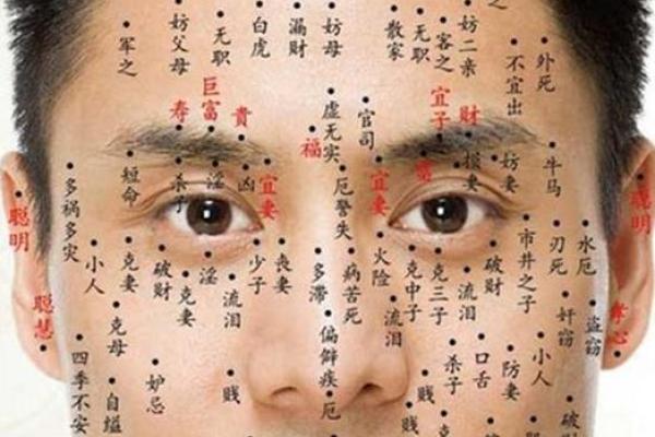 破解男人长命五命的秘密:如何延年益寿,活出精彩人生! 破解男人长命五命的秘密:如何延年益寿,活出精彩人生!