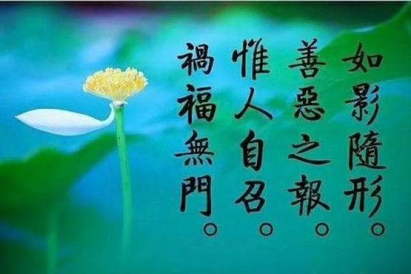 命格不可更改的秘密:探索命运的奥秘与哲学 命格不可更改的秘密:探索命运的奥秘与哲学