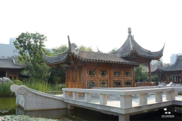 路旁土与命运的奥秘:探寻人与自然的深层联系 路旁土与命运的奥秘:探寻人与自然的深层联系