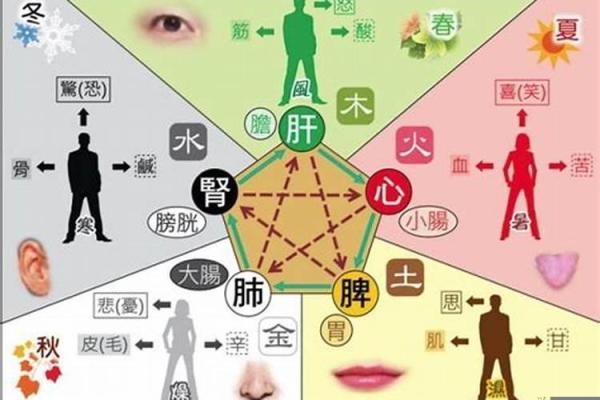 探秘平地木命:探索五行之中的独特人生之路 探秘平地木命:探索五行之中的独特人生之路
