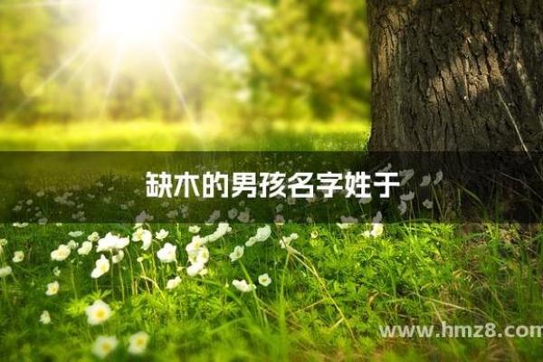 为木命人取名:如何为命中缺木之人寻找合适的名字 为木命人取名:如何为命中缺木之人寻找合适的名字