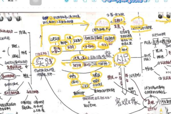 没有后脑勺的命:从无到有的人生哲学探索 没有后脑勺的命:从无到有的人生哲学探索