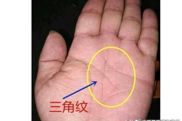 男人个头大手小,命运象征与人生启示探讨 男人个头大手小,命运象征与人生启示探讨