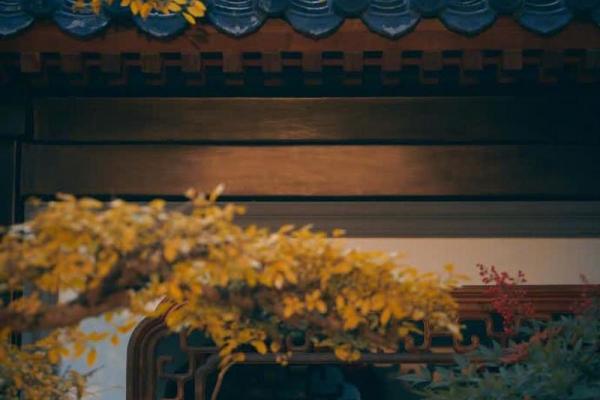 命里缺你:爱情与命运交织的深情歌谣 命里缺你:爱情与命运交织的深情歌谣
