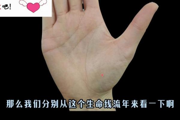 命带桃花煞的八字解析:如何化解桃花煞的影响? 命带桃花煞的八字解析:如何化解桃花煞的影响?