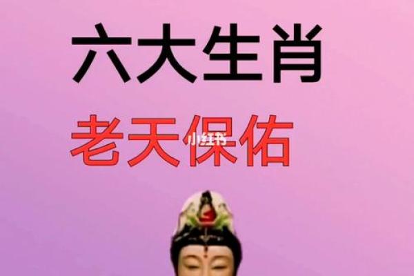 木命女性与生肖命理的完美匹配探讨 木命女性与生肖命理的完美匹配探讨