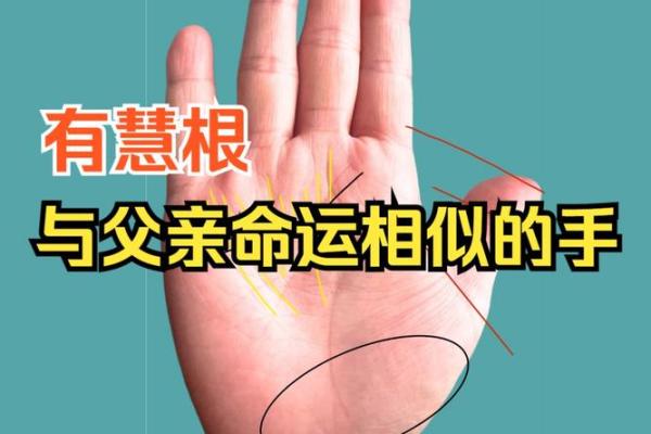 命由天定:探究命运与选择之间的关系 命由天定:探究命运与选择之间的关系