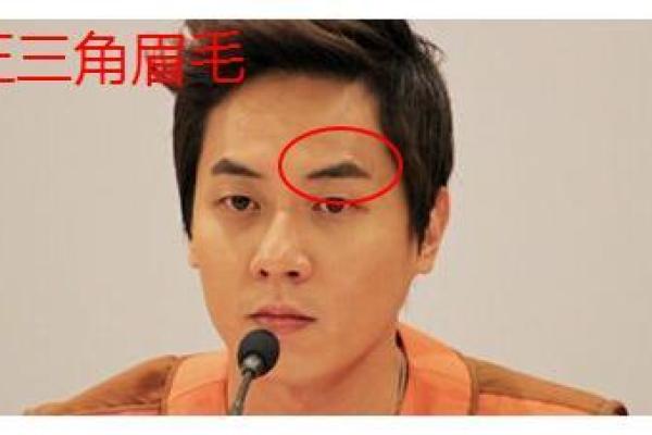 眉骨凸起的男人:命运如何在脸相中显现? 眉骨凸起的男人:命运如何在脸相中显现?