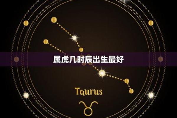 明年属虎婴儿命理解析:2024年出生的虎宝宝命运走向 明年属虎婴儿命理解析:2024年出生的虎宝宝命运走向