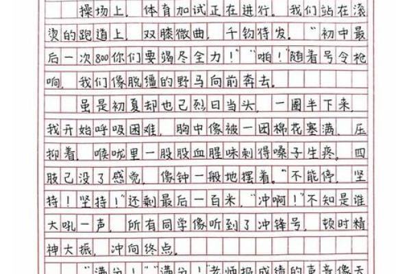 没考大学的命:人生的转折与奋斗之路 没考大学的命:人生的转折与奋斗之路