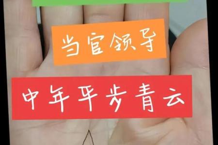 男人花掌纹的命运解析：揭秘掌纹背后的秘密