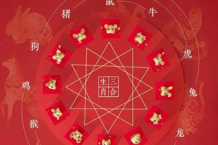 1986年出生女性的命运解析：独特的生肖与八字命理