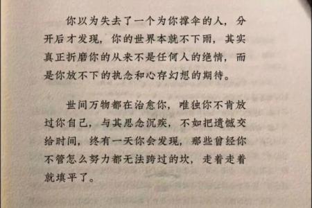 难民的命：在逆境中重生的希望与勇气