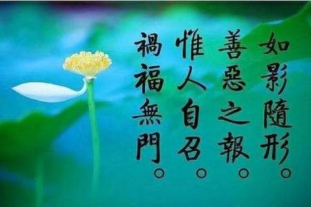 命格不可更改的秘密：探索命运的奥秘与哲学