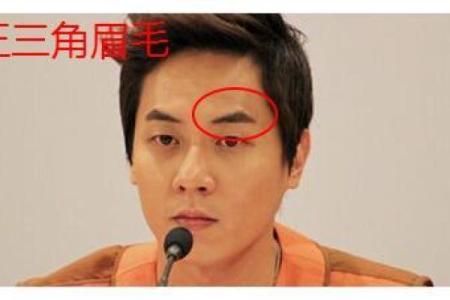 眉骨凸起的男人：命运如何在脸相中显现？