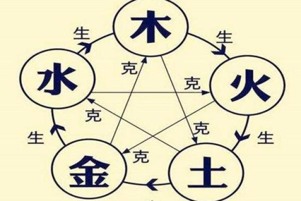 木命与龙命的神秘区别:解密命理中的生辰八字 木命与龙命的神秘区别:解密命理中的生辰八字