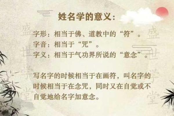 深入解析乙卯女命:独特命格背后的智慧与魅力 深入解析乙卯女命:独特命格背后的智慧与魅力