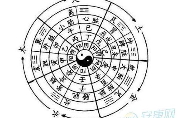 凌晨一点出生的人命运与性格解析 凌晨一点出生的人命运与性格解析