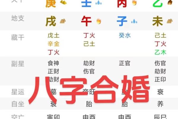 命局与本命局的深刻区别与影响分析 命局与本命局的深刻区别与影响分析
