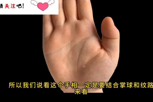 命犯桃花劫,掌握人生中的情感波澜 命犯桃花劫,掌握人生中的情感波澜