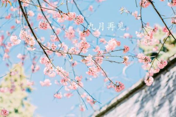 牛年九月初四的命理解析:他们的命运与人生轨迹探秘 牛年九月初四的命理解析:他们的命运与人生轨迹探秘