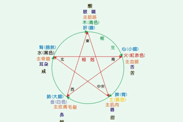 南昌话“心肝命肝”的深意与生活智慧 南昌话“心肝命肝”的深意与生活智慧