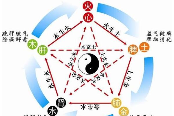 南昌话“心肝命肝”的深意与生活智慧 南昌话“心肝命肝”的深意与生活智慧