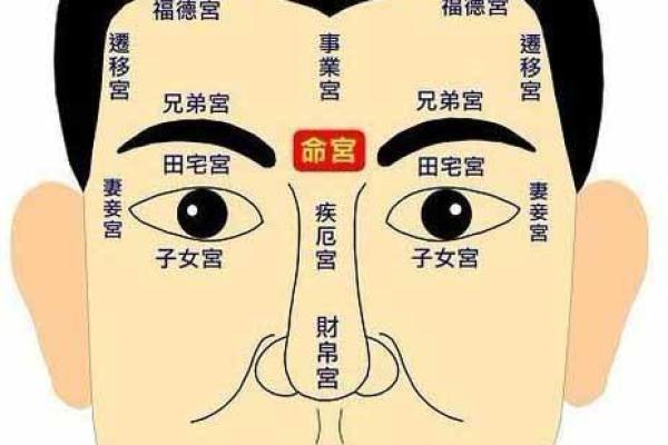 女命八字带2甲是什么意思?细看其中的深意与启示 女命八字带2甲是什么意思?细看其中的深意与启示
