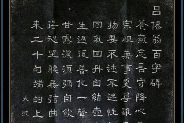 探寻“靠命养命”的深刻哲理与生活启示 探寻“靠命养命”的深刻哲理与生活启示