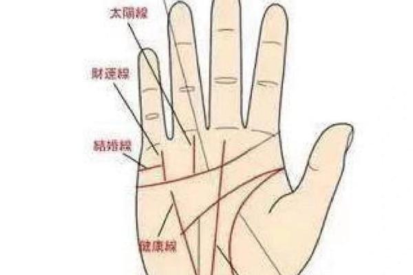 从手相看命运,揭秘女生内心深处的秘密 从手相看命运,揭秘女生内心深处的秘密