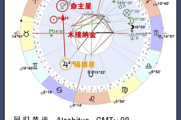 揭示你的命格:免费查找适合自己的女命格秘诀! 揭示你的命格:免费查找适合自己的女命格秘诀!
