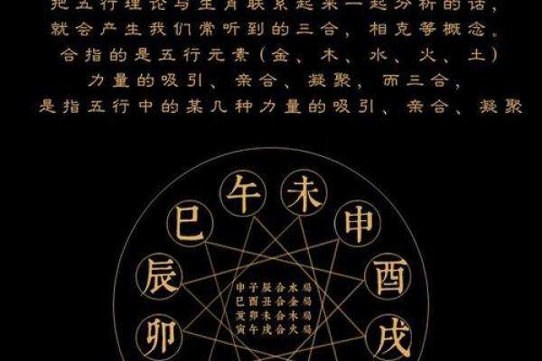 命的正确含义与生肖的关系探讨 命的正确含义与生肖的关系探讨