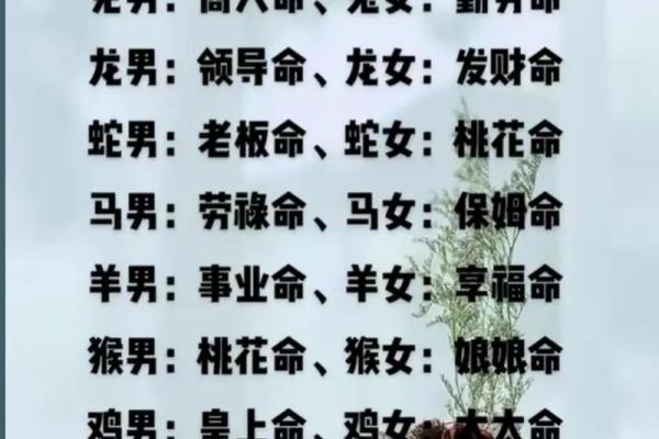 命的正确含义与生肖的关系探讨 命的正确含义与生肖的关系探讨
