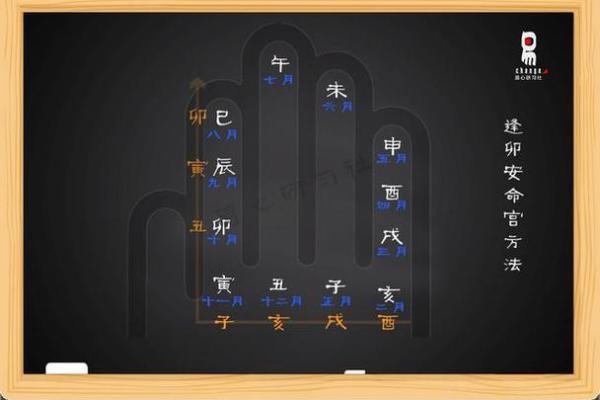 女性命理与公考成功之八字揭示 女性命理与公考成功之八字揭示