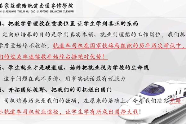 马肖2002:揭秘命格的奥秘与人生导航 马肖2002:揭秘命格的奥秘与人生导航