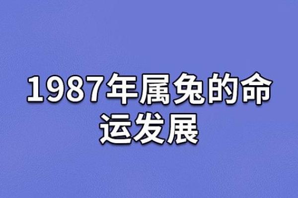 命里缺什么就会是什么命,命运与补运的奥秘探究 命里缺什么就会是什么命,命运与补运的奥秘探究