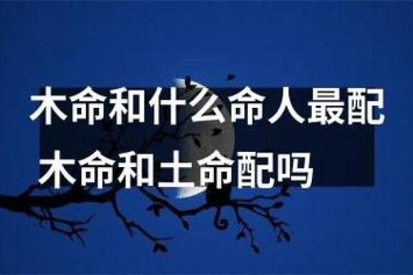 路旁土命的人适合什么命,揭秘土命的最佳搭配! 路旁土命的人适合什么命,揭秘土命的最佳搭配!